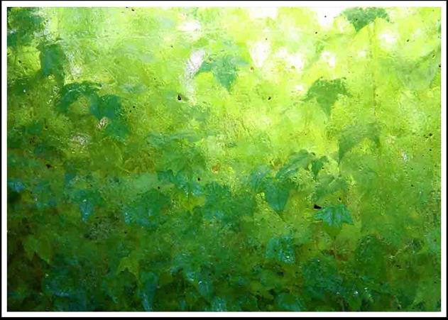 Living Walls Gallery